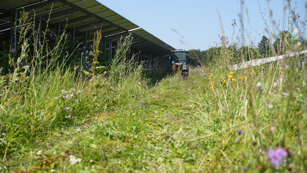 Solarpark
